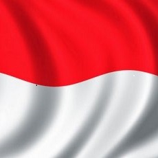 BAHASA INDONESIA Bahasa Indonesia